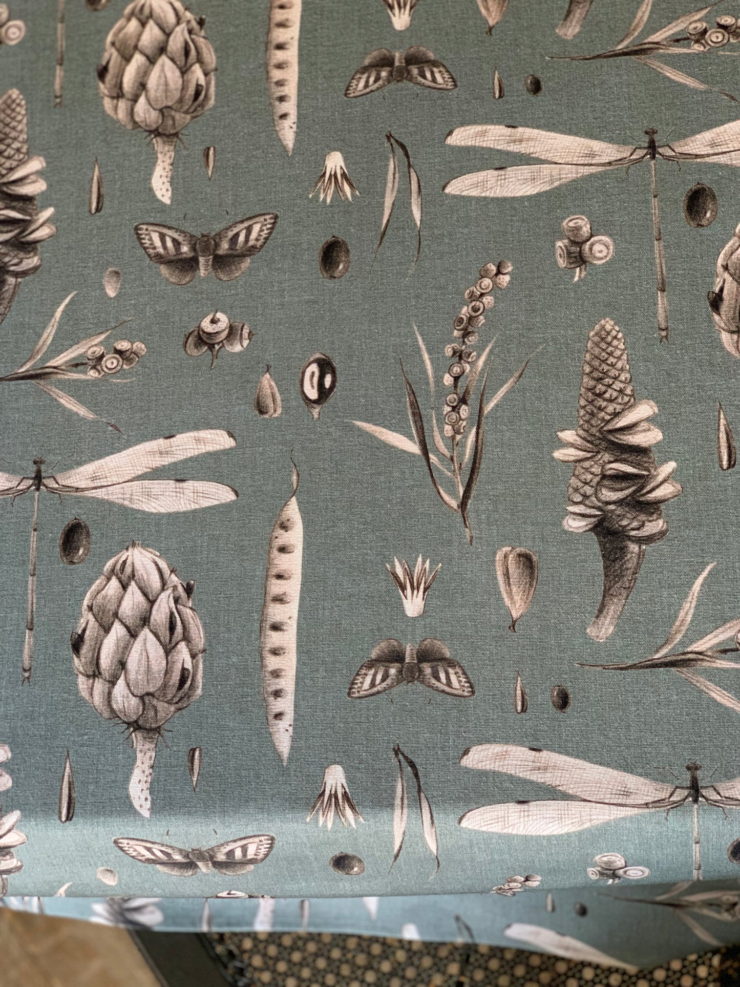 Rectangular Tablecloth, 100% Cotton, Printed | Seeds Aqua